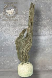 LES BOIS FLOTTÉS DE SOPHIE -  - Sculpture Végétale