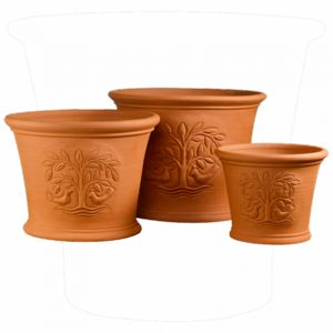Whichford Pottery -  - Pot De Jardin