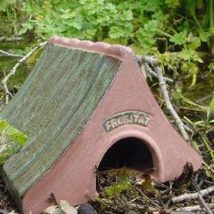 Wildlife world - ceramic frog & toad house - Grenouille