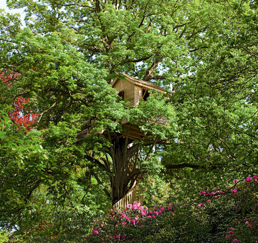 La Cabane Perchee - Cabane dans les arbres-La Cabane Perchee-Cabane fleurie