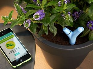 Parrot Sensor for plants