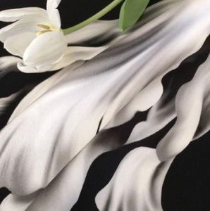 ELLIE - tulipe noire - Fabric By The Metre