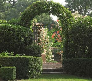 METAL VERT -  - Garden Arch