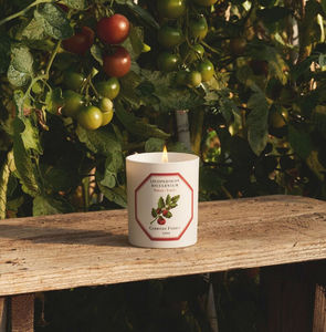 CARRIÈRE FRÈRES - tomate - Scented Candle