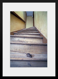 PHOTOBAY - la souris de l'escalier - Photography