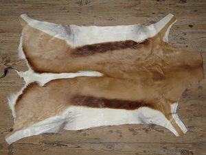 Abbeyhorn -  - Animal Skin Rug