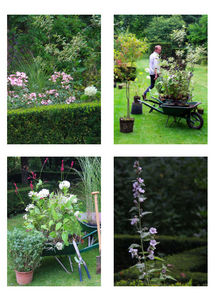 DRAW ME A GARDEN - jardin à la française - Landscaped Garden