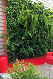 Hydrodecor -  - Grass Covered Wall