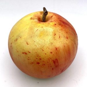 LA MAISON DU ROY -  - Artificial Fruit