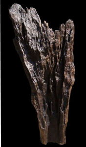 MICHAEL DELOFFRE -  - Natural Sculpture