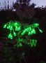 Lighting garland-FEERIE SOLAIRE-Guirlande solaire boules à facettes 20 leds vertes