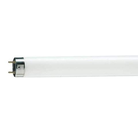 Philips - Neon tube-Philips-Tube fluorescent 1381443