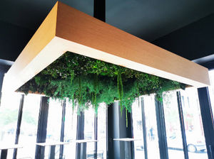 Vegetal  Indoor - plafond - Bepflanzte Wand