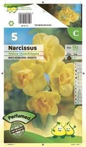 LES DOIGTS VERTS - bulbe narcisse tazetta yellow cheerfulness x5 - Bulbos De Flores