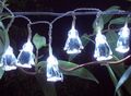 Guirnalda luminosa-FEERIE SOLAIRE-Guirlande solaire 20 leds blanches pingouins 3m80