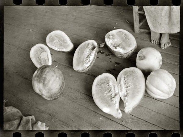 LINEATURE - Fotografía-LINEATURE-Melons on Frank Tengle's porch - 1936