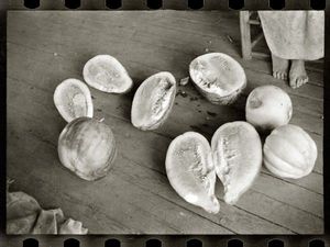 LINEATURE - melons on frank tengle's porch - 1936 - Fotografia