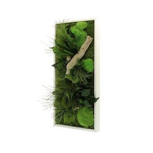 Quadro vegetale stabilizzato giungla esente da manutenzione - quadro di  piante e decorazione murale d'interni, piante e fiori eterni made in France