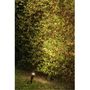 Faretto da giardino con picchetto-FARO-Spot extérieur piquet Toni IP65